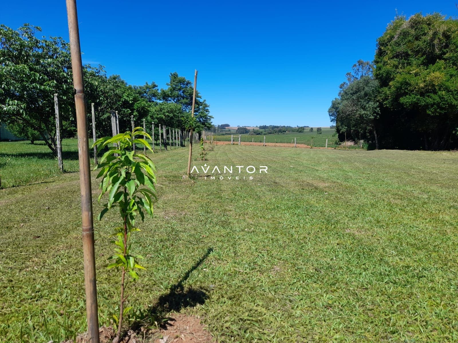 Chácara com 2 quartos à venda em Zona rural, Toropi/RS — foto 7 de 9