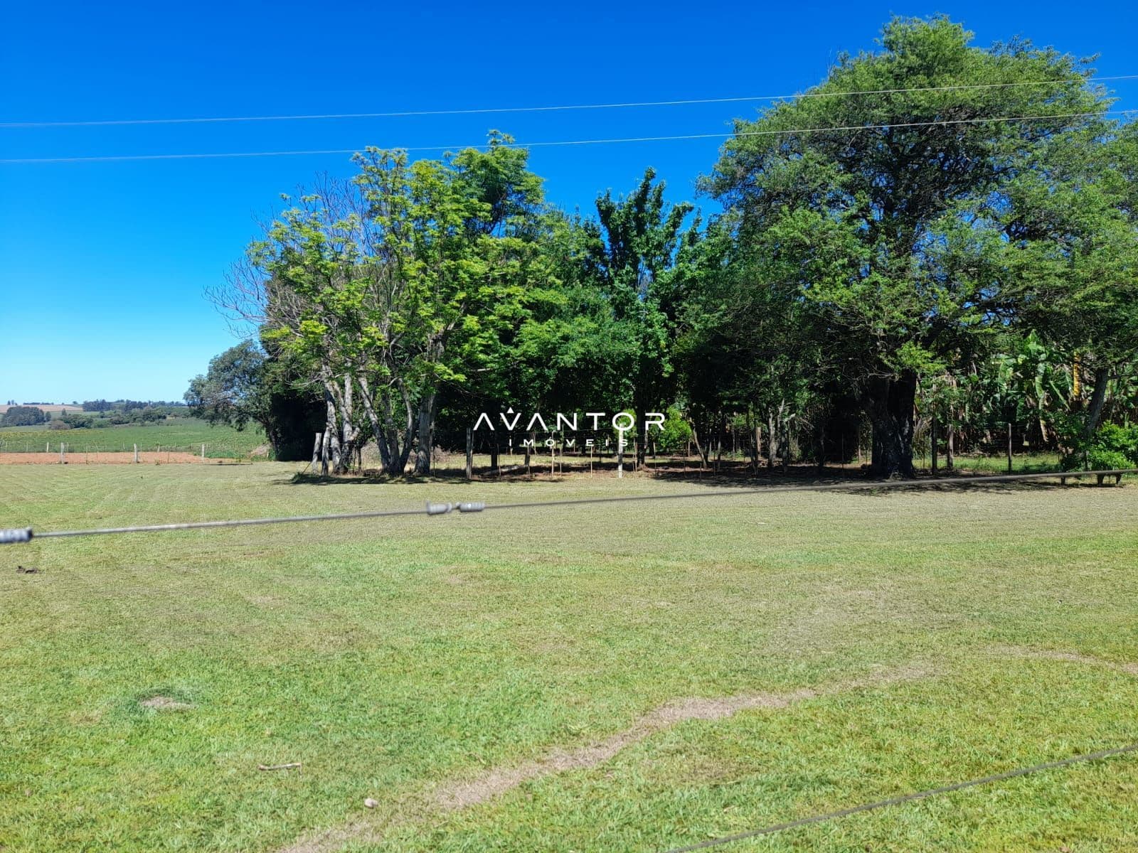 Chácara com 2 quartos à venda em Zona rural, Toropi/RS — foto 8 de 9