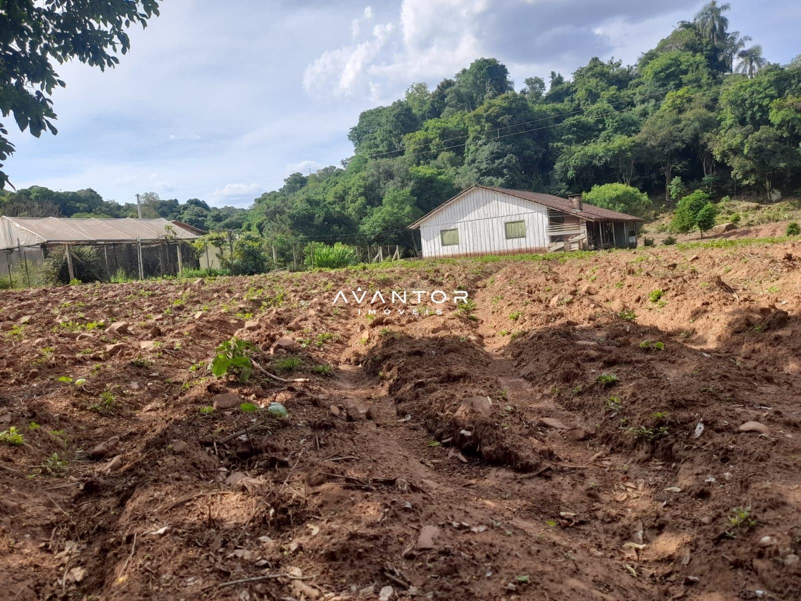 Chácara com 2 quartos à venda em Zona rural, Toropi/RS — foto 9 de 9