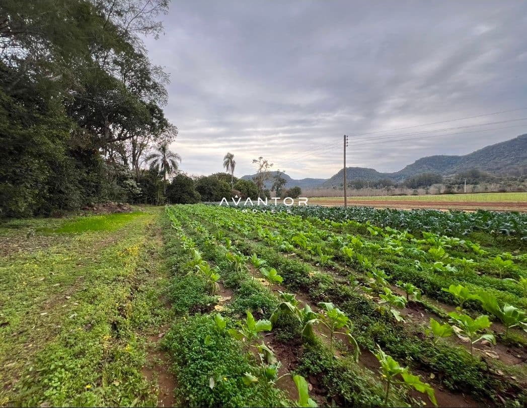 Chácara com 3 quartos à venda em Zona Rural, Arroio Grande/RS — foto 13 de 19