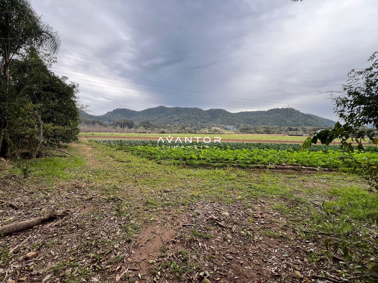 Chácara com 3 quartos à venda em Zona Rural, Arroio Grande/RS — foto 14 de 19