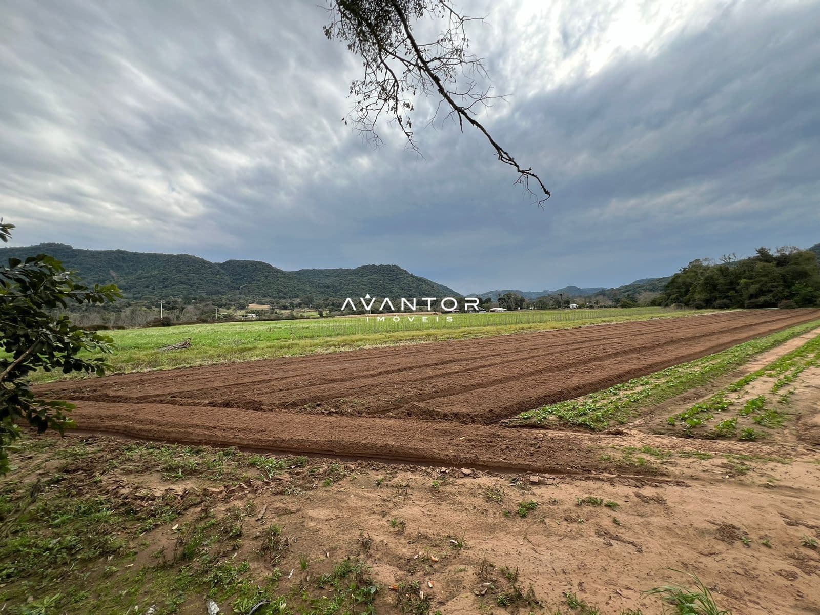 Chácara com 3 quartos à venda em Zona Rural, Arroio Grande/RS — foto 15 de 19