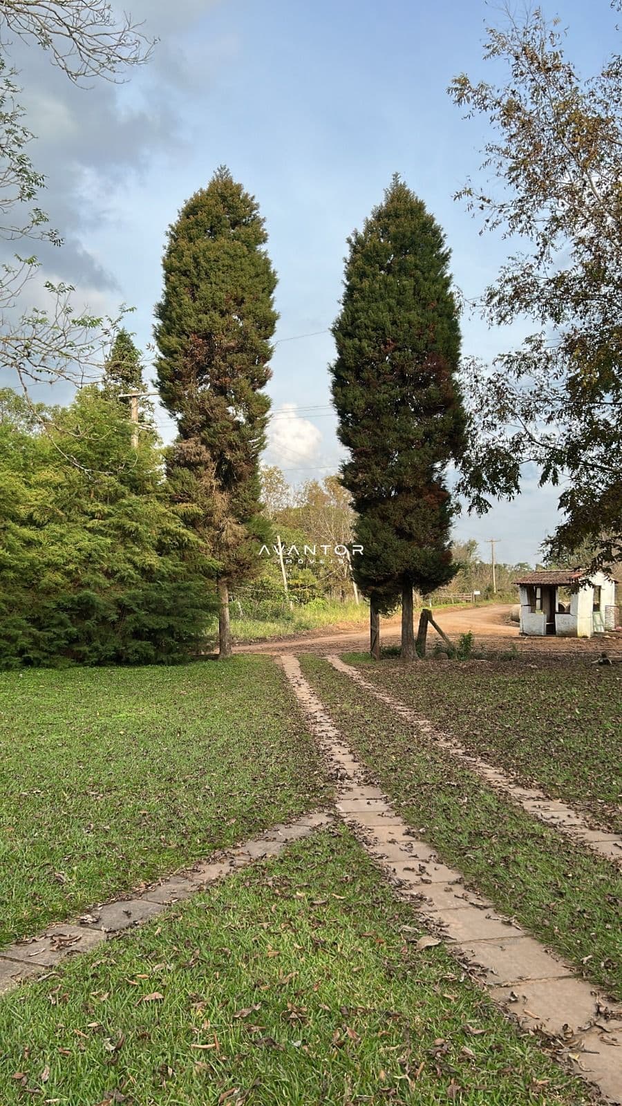 Chácara com 3 quartos à venda em Zona Rural, Arroio Grande/RS — foto 19 de 19