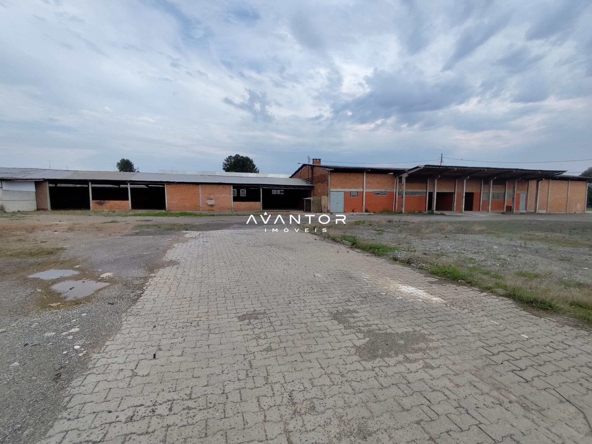 Sala Comercial com 10 salas para alugar em Nossa Senhora Medianeira, Santa Maria/RS — foto 8 de 25