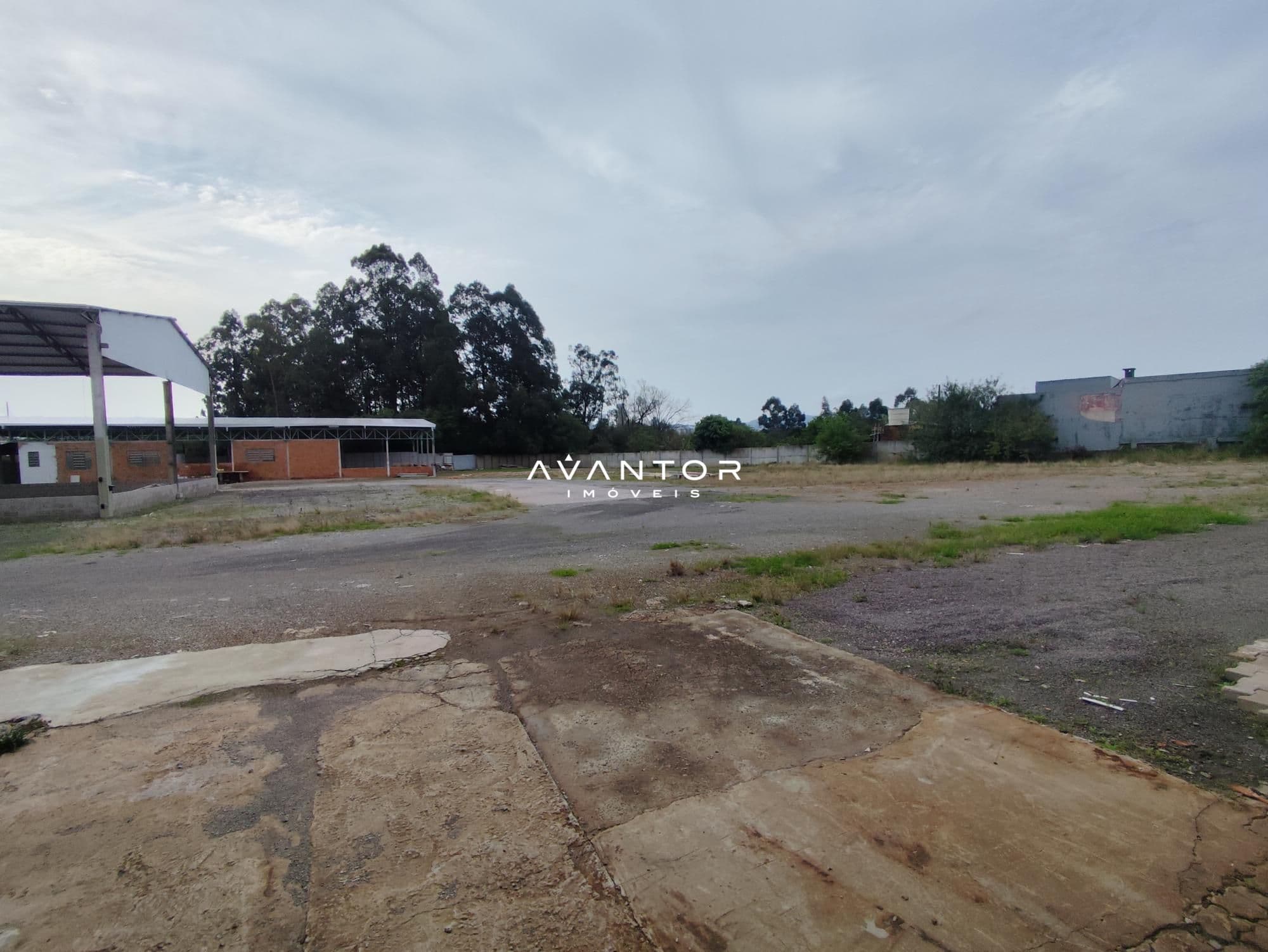 Sala Comercial com 10 salas para alugar em Nossa Senhora Medianeira, Santa Maria/RS — foto 14 de 25