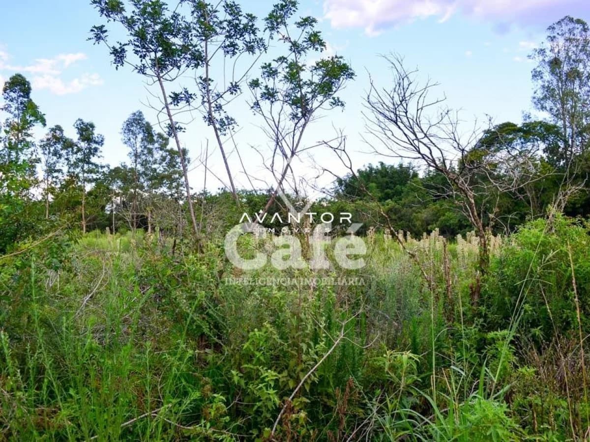 Terreno com vegetação nativa e árvores — Terreno à venda em Diácono João Luiz Pozzobon, Santa Maria/RS