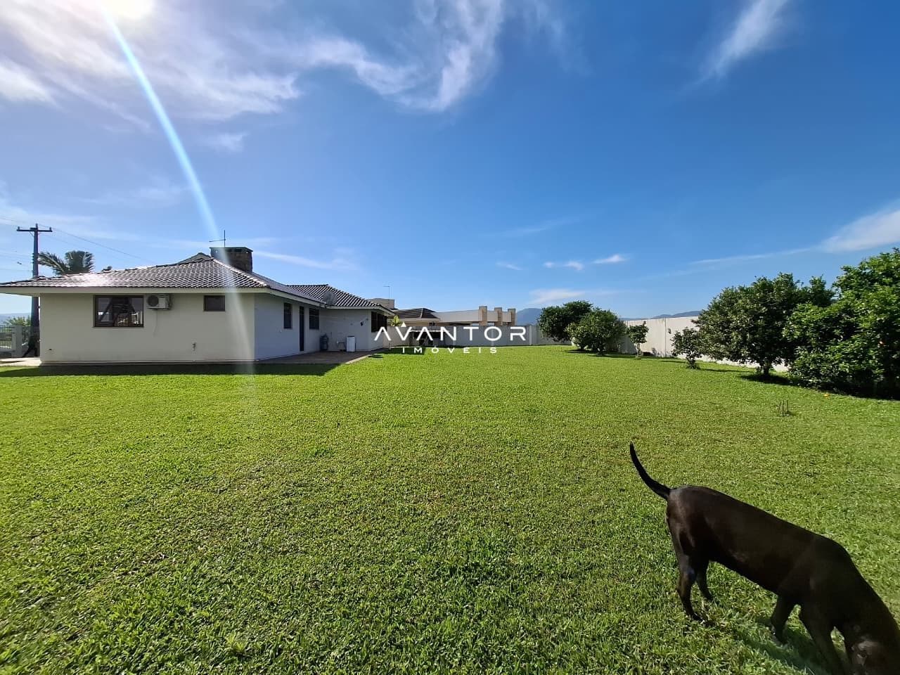 Casa com 3 quartos à venda em Arroio Grande, Santa Maria/RS — foto 14 de 16