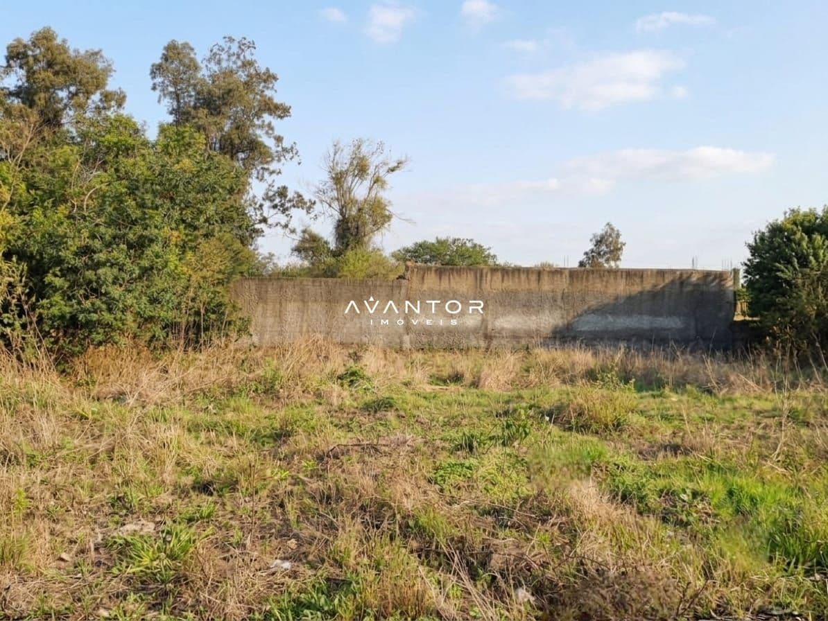 Terreno à venda em Pé de Plátano, Santa Maria/RS — foto 2 de 2