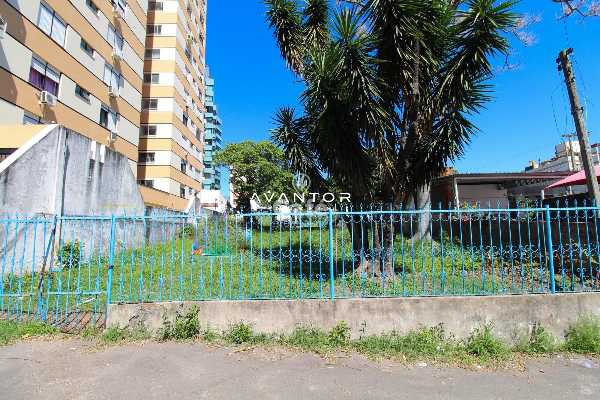 Terreno com palmeira e cerca — Terreno à venda em Centro, Santa Maria/RS