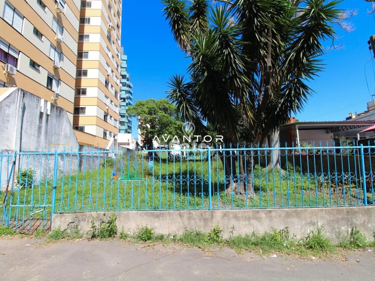 Terreno com palmeira e cerca — Terreno à venda em Centro, Santa Maria/RS