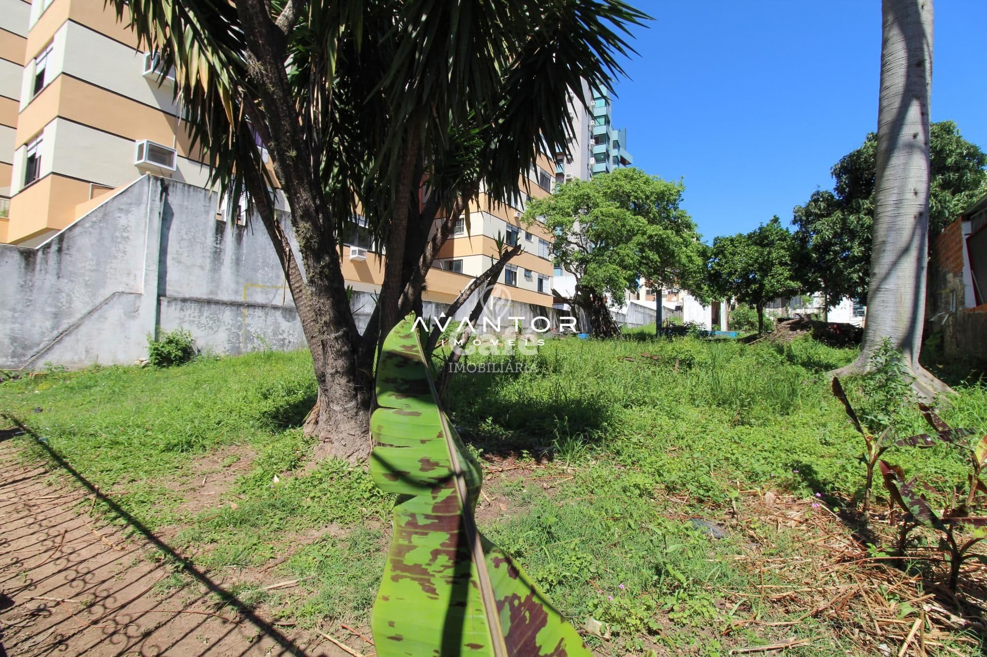 Terreno à venda em Centro, Santa Maria/RS — foto 6 de 6