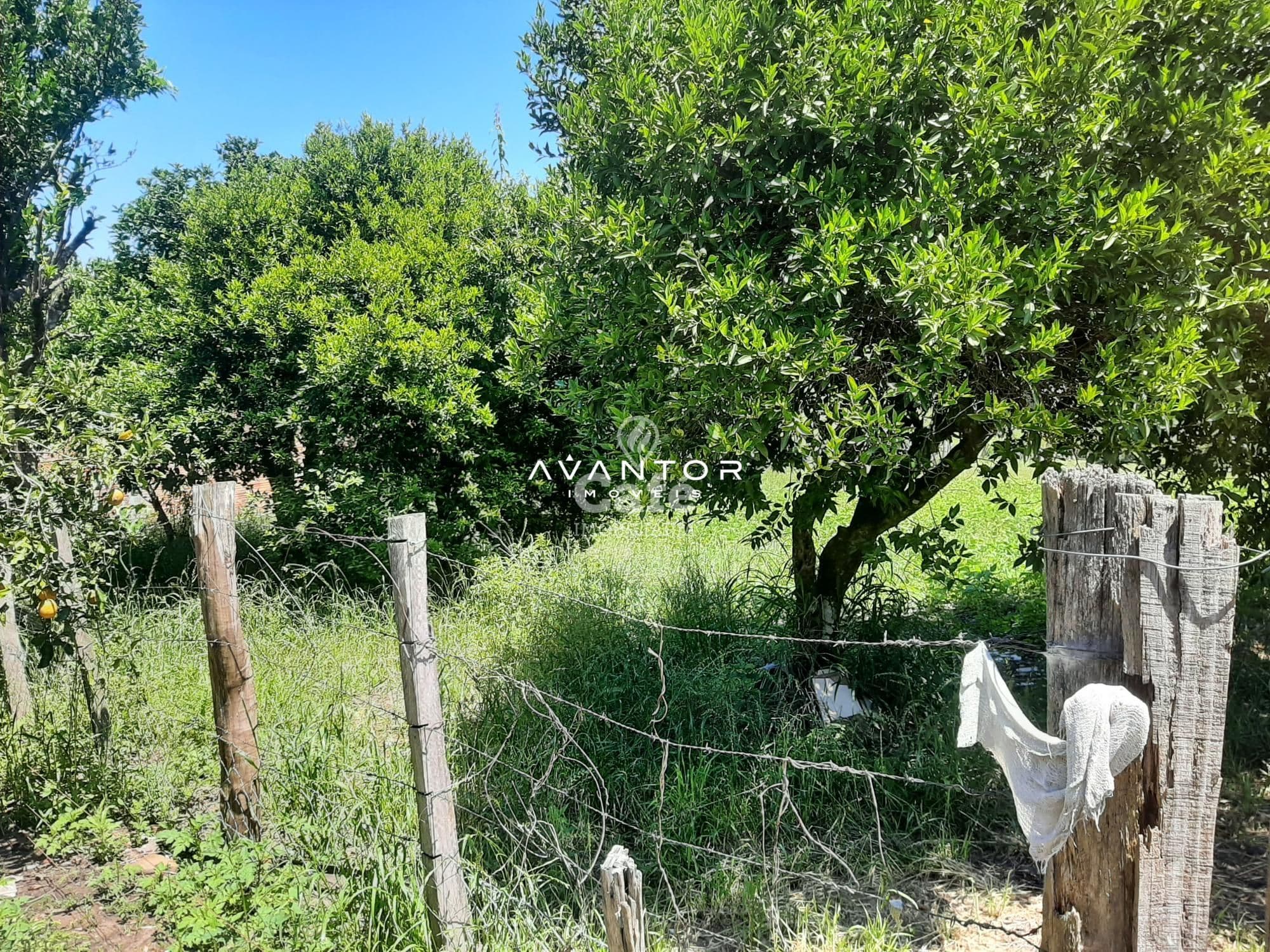 Casa com 3 quartos à venda em Pinheiro Machado, Santa Maria/RS — foto 2 de 5