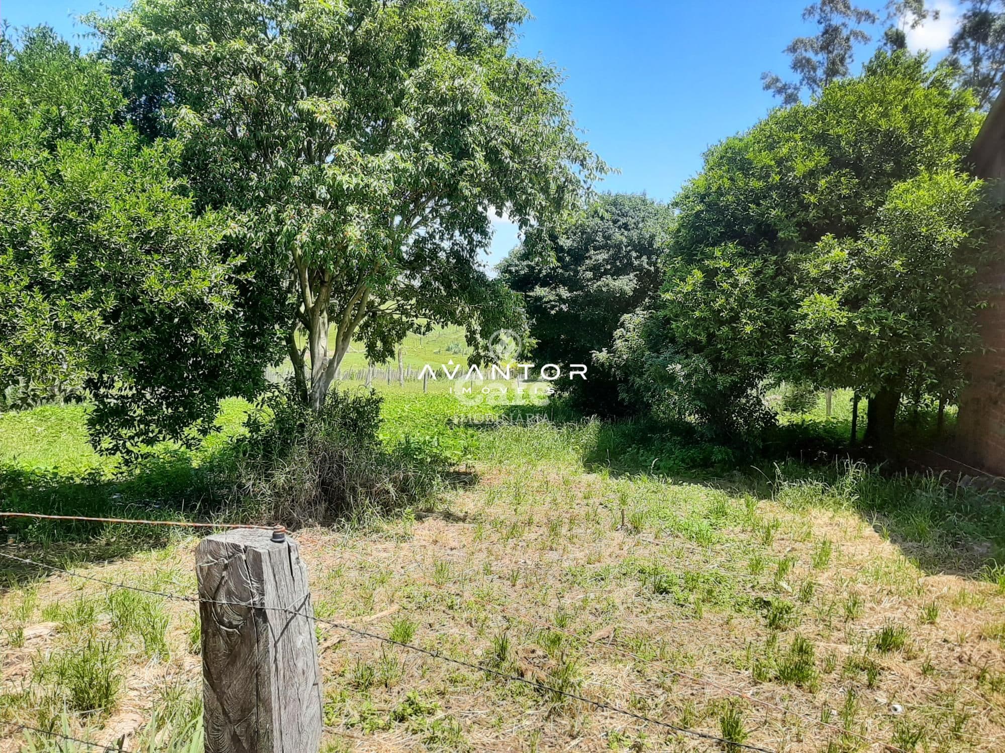 Casa com 3 quartos à venda em Pinheiro Machado, Santa Maria/RS — foto 3 de 5
