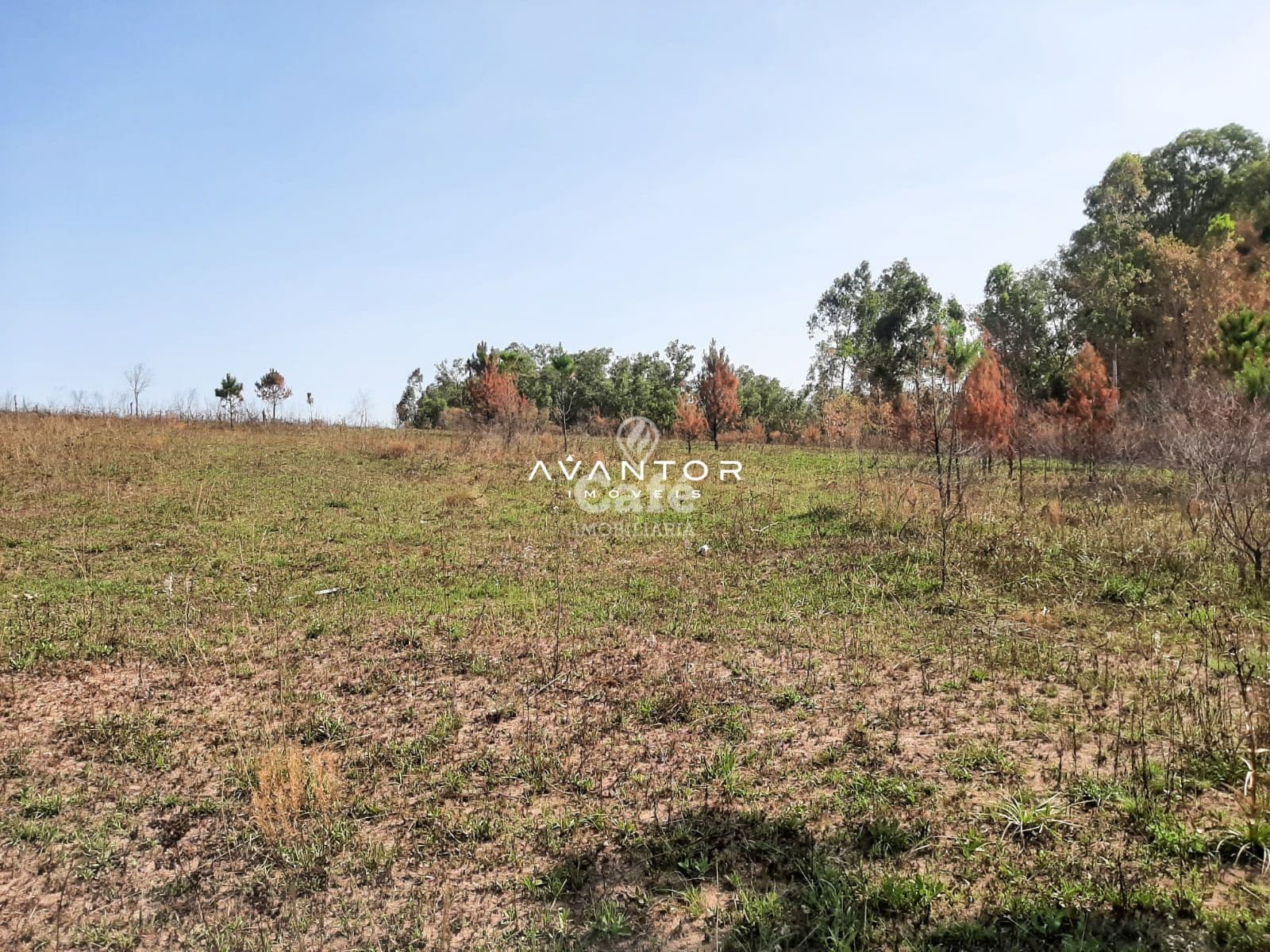Terreno à venda em Tancredo Neves, Santa Maria/RS — foto 3 de 5