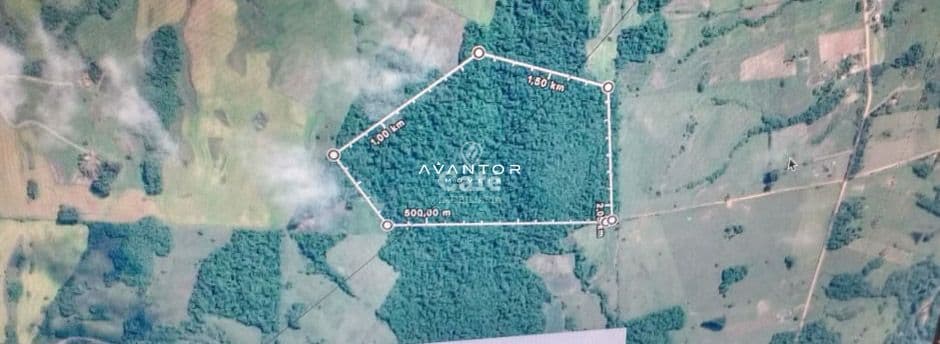 Campo à venda em Zona rural, Vila Nova do Sul/RS — foto 4 de 8