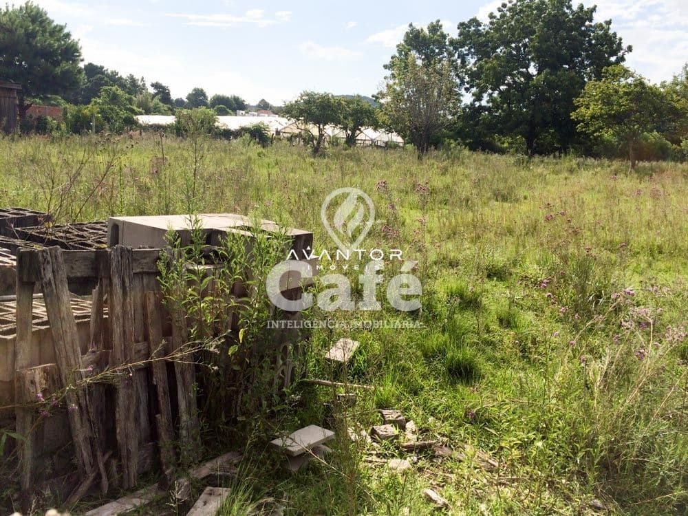 Terreno à venda em Diácono João Luiz Pozzobon, Santa Maria/RS — foto 3 de 5