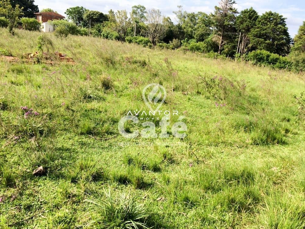 Terreno à venda em Diácono João Luiz Pozzobon, Santa Maria/RS — foto 4 de 5