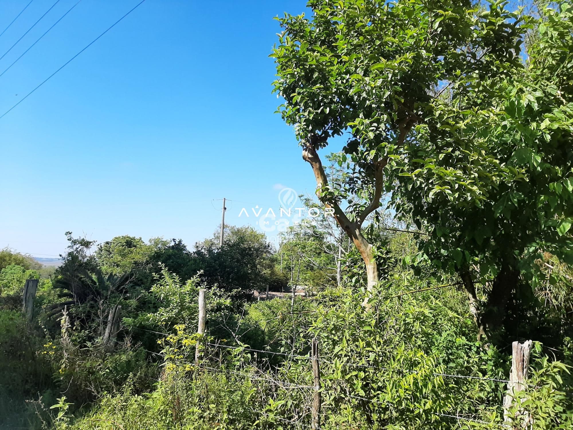 Terreno à venda em Boi Morto, Santa Maria/RS — foto 2 de 5