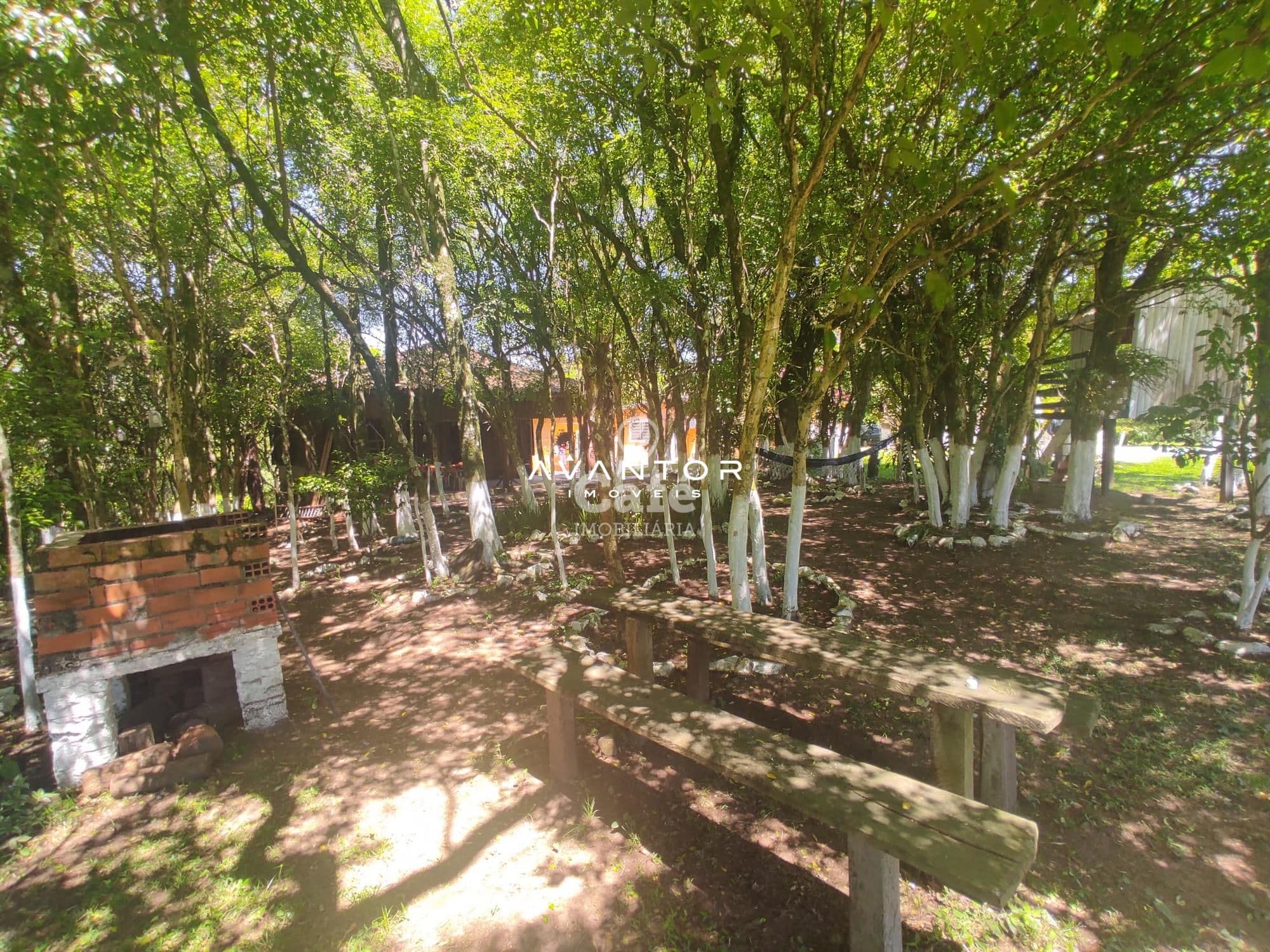 Sua linda chácara esta aqui. São 4,2 hectares com casa 4 dormitórios, piscina e um linda g — Casa com 4 quartos à venda em Rincão do Canto, Itaara/RS