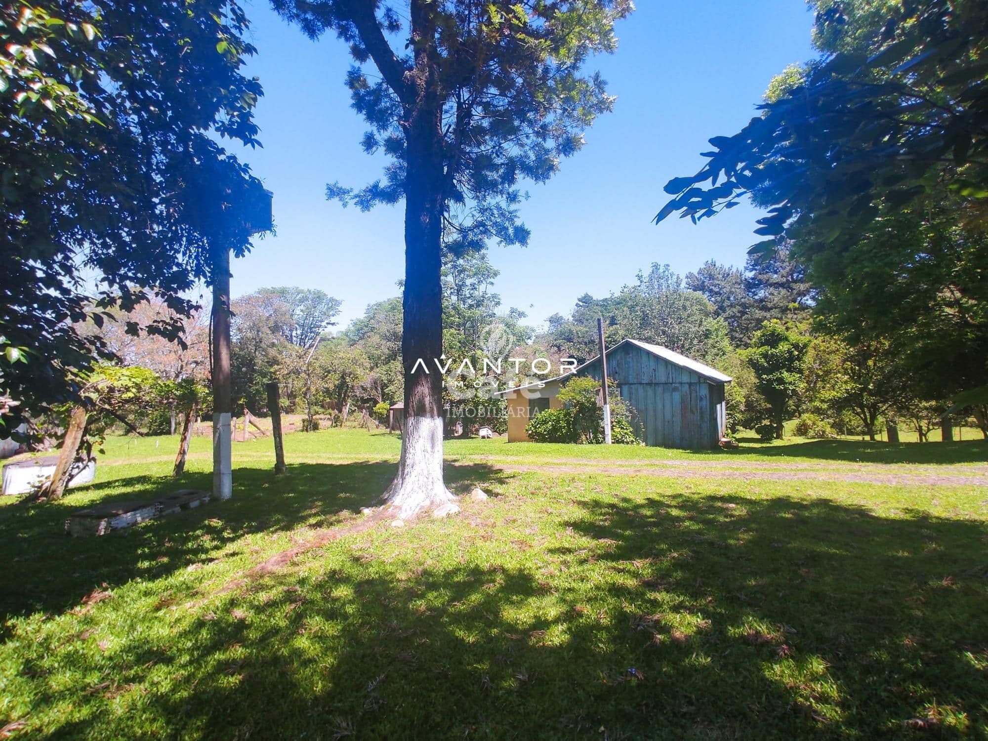 Sua linda chácara esta aqui. São 4,2 hectares com casa 4 dormitórios, piscina e um linda g — Casa com 4 quartos à venda em Rincão do Canto, Itaara/RS