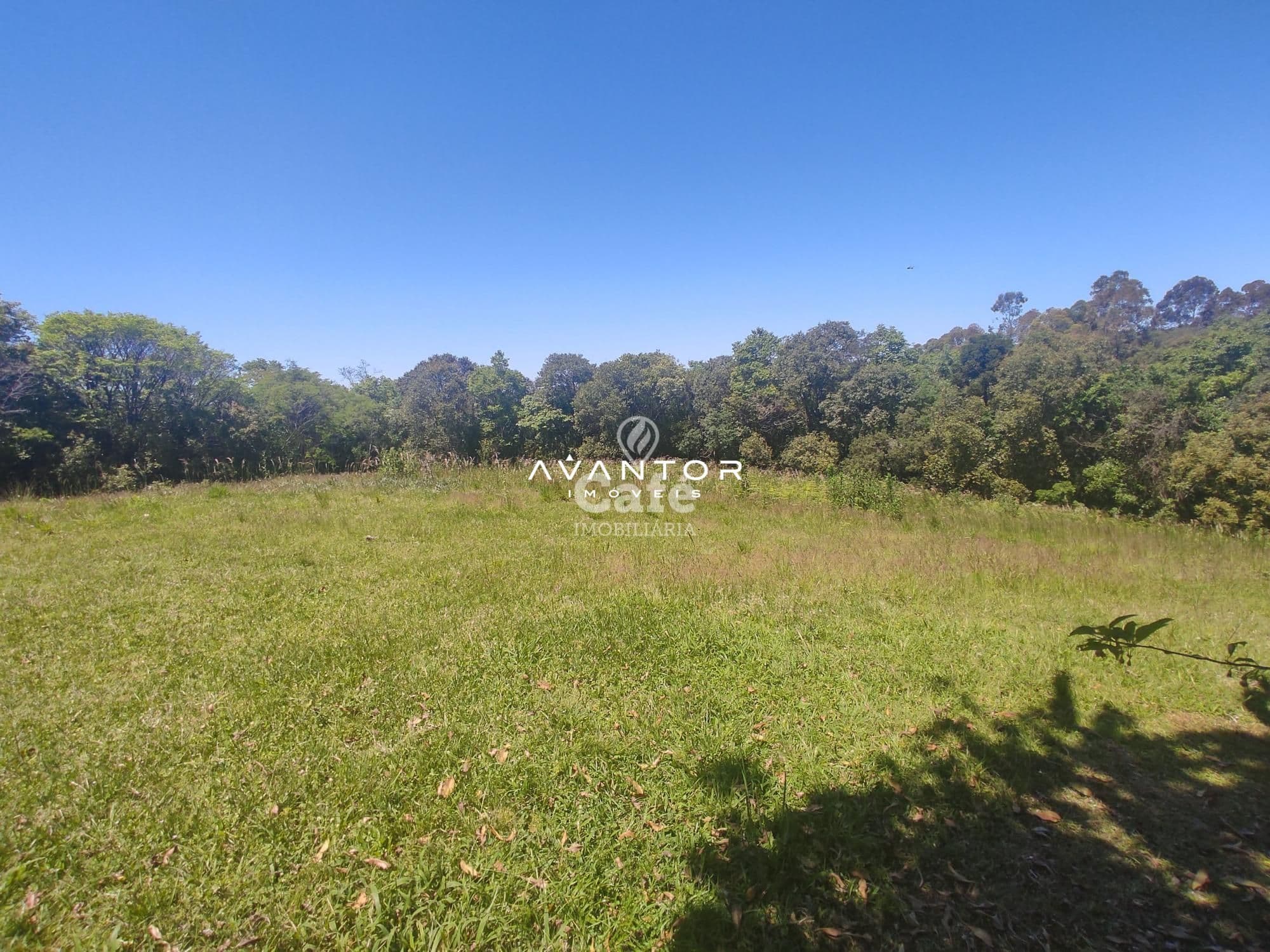 Sua linda chácara esta aqui. São 4,2 hectares com casa 4 dormitórios, piscina e um linda g — Casa com 4 quartos à venda em Rincão do Canto, Itaara/RS