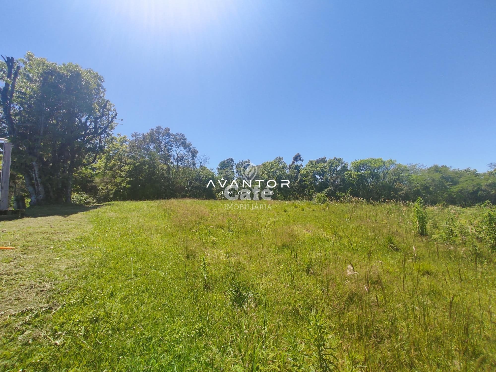 Sua linda chácara esta aqui. São 4,2 hectares com casa 4 dormitórios, piscina e um linda g — Casa com 4 quartos à venda em Rincão do Canto, Itaara/RS