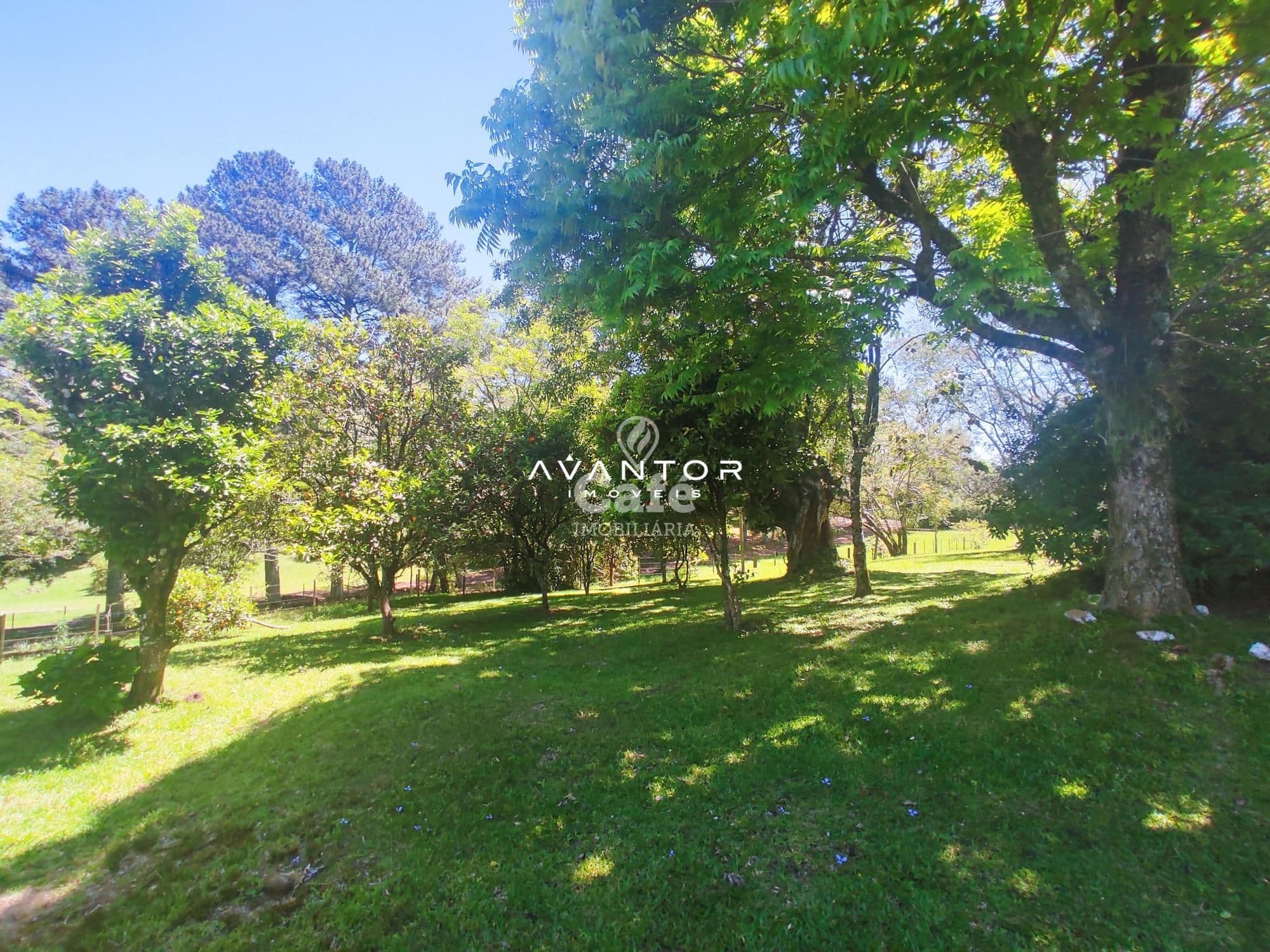 Sua linda chácara esta aqui. São 4,2 hectares com casa 4 dormitórios, piscina e um linda g — Casa com 4 quartos à venda em Rincão do Canto, Itaara/RS
