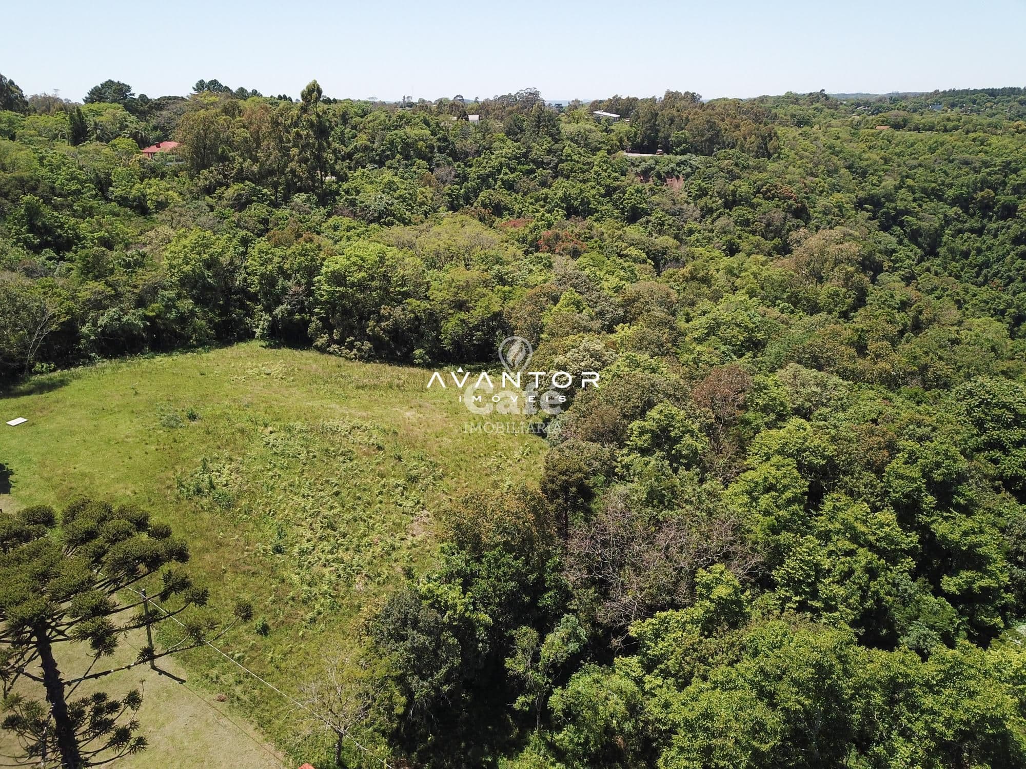 Sua linda chácara esta aqui. São 4,2 hectares com casa 4 dormitórios, piscina e um linda g — Casa com 4 quartos à venda em Rincão do Canto, Itaara/RS