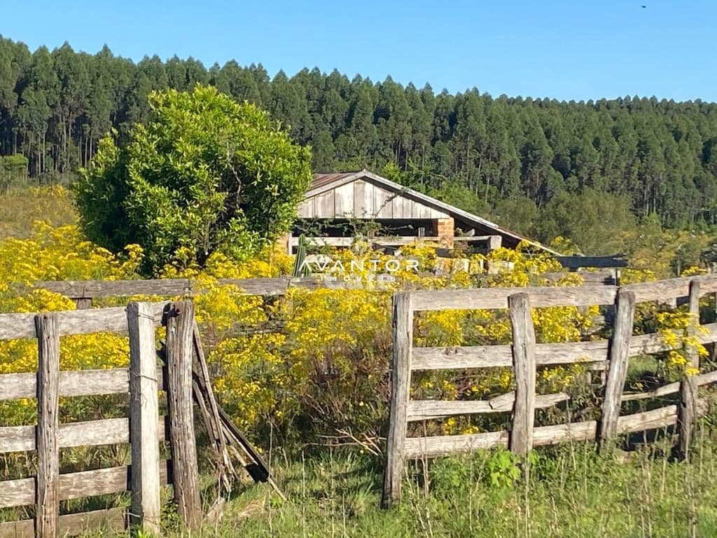 Terreno com casa e cerca de madeira — Chácara com 4 quartos à venda em Zona rural, Vila Nova do Sul/RS