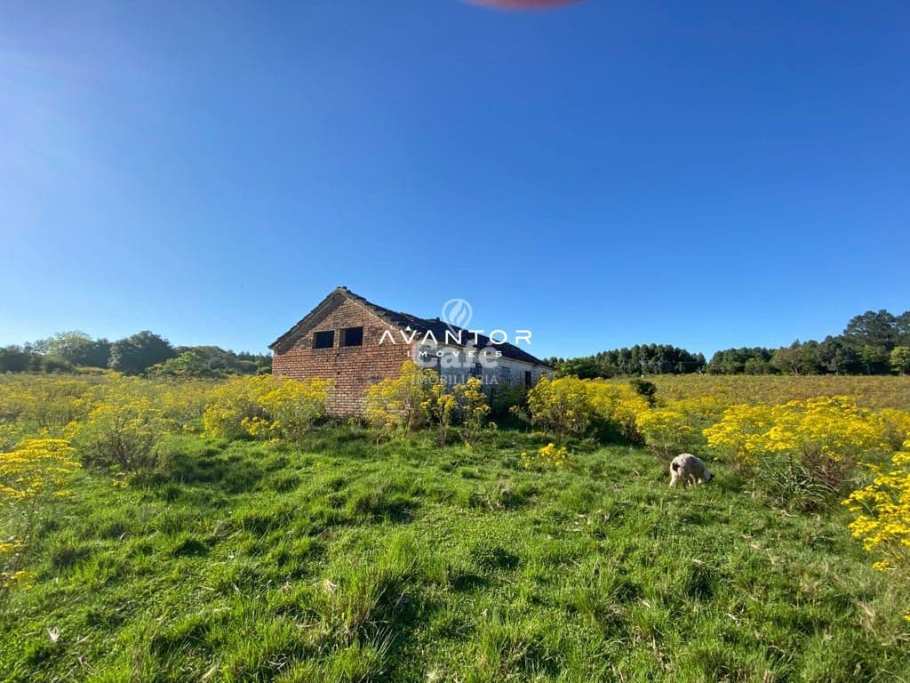 Chácara com 4 quartos à venda em Zona rural, Vila Nova do Sul/RS — foto 6 de 26