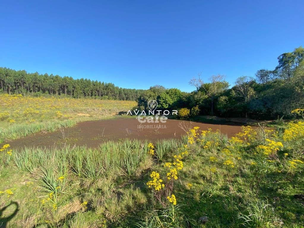 Chácara com 4 quartos à venda em Zona rural, Vila Nova do Sul/RS — foto 7 de 26