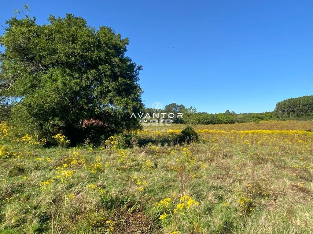 Chácara com 4 quartos à venda em Zona rural, Vila Nova do Sul/RS — foto 8 de 26