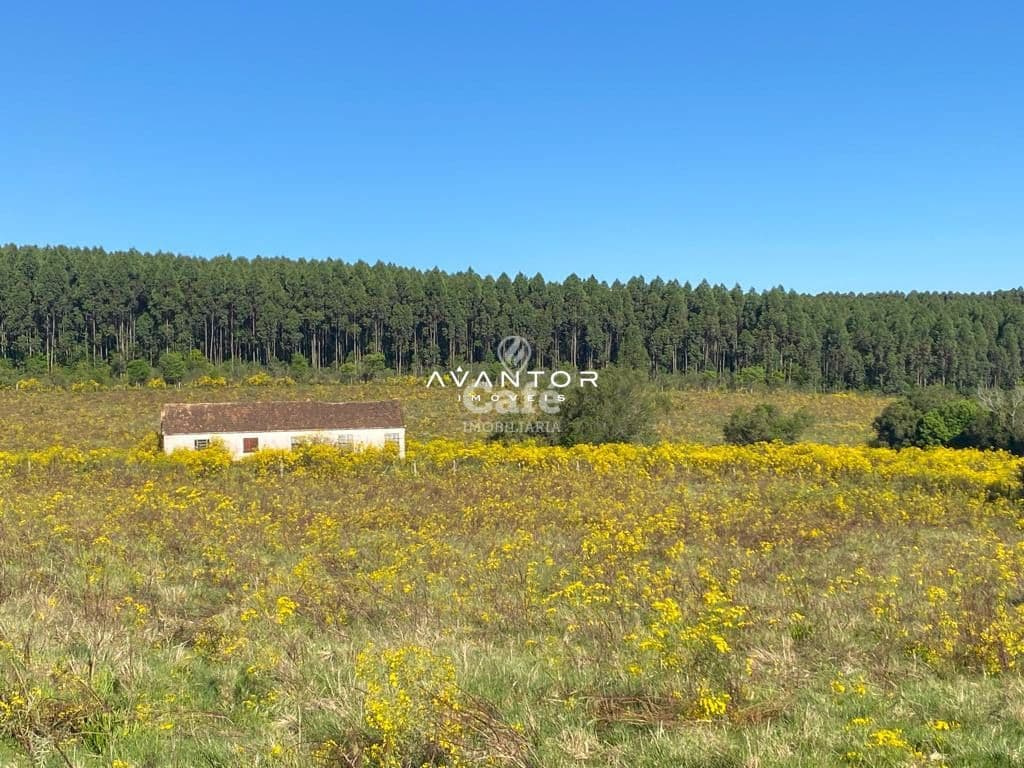 Chácara com 4 quartos à venda em Zona rural, Vila Nova do Sul/RS — foto 9 de 26