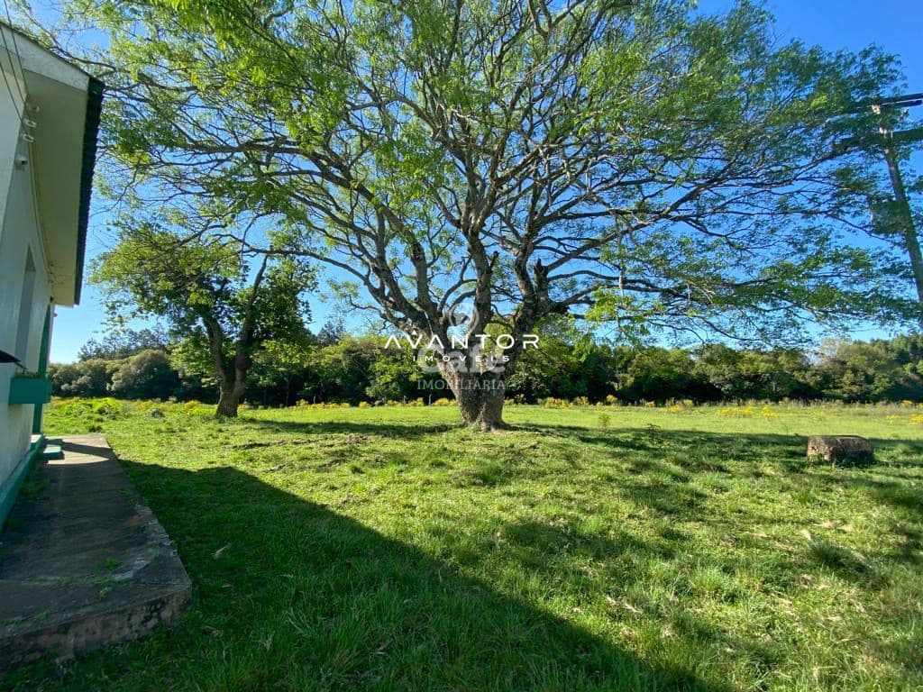 Chácara com 4 quartos à venda em Zona rural, Vila Nova do Sul/RS — foto 23 de 26