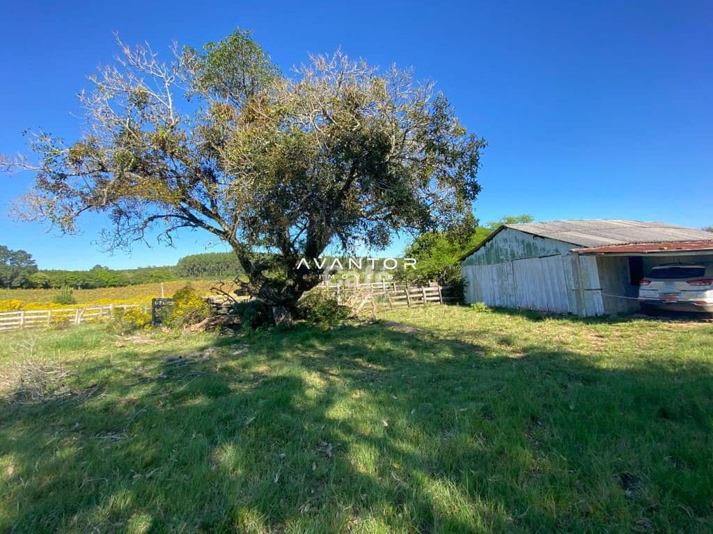 Chácara com 4 quartos à venda em Zona rural, Vila Nova do Sul/RS — foto 24 de 26