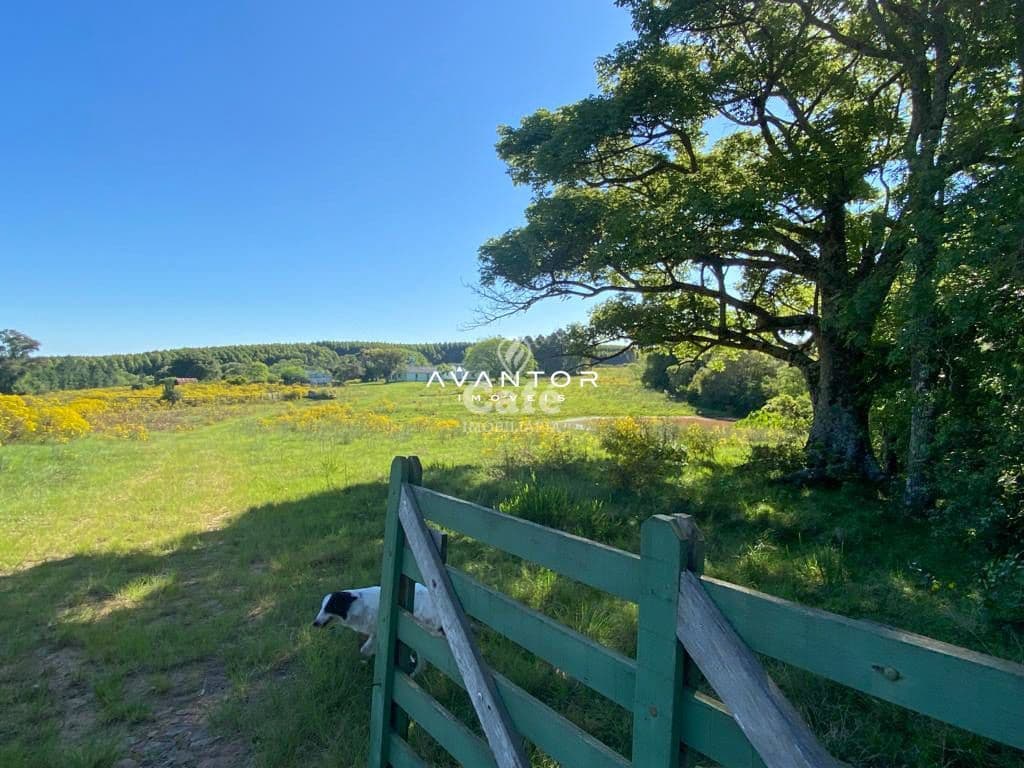 Chácara com 4 quartos à venda em Zona rural, Vila Nova do Sul/RS — foto 26 de 26