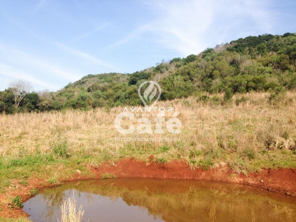 Campo à venda em Ernesto Alves, Santiago/RS — foto 2 de 7