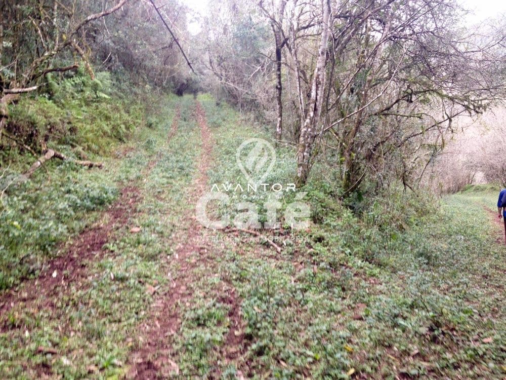Campo à venda em Ernesto Alves, Santiago/RS — foto 4 de 7