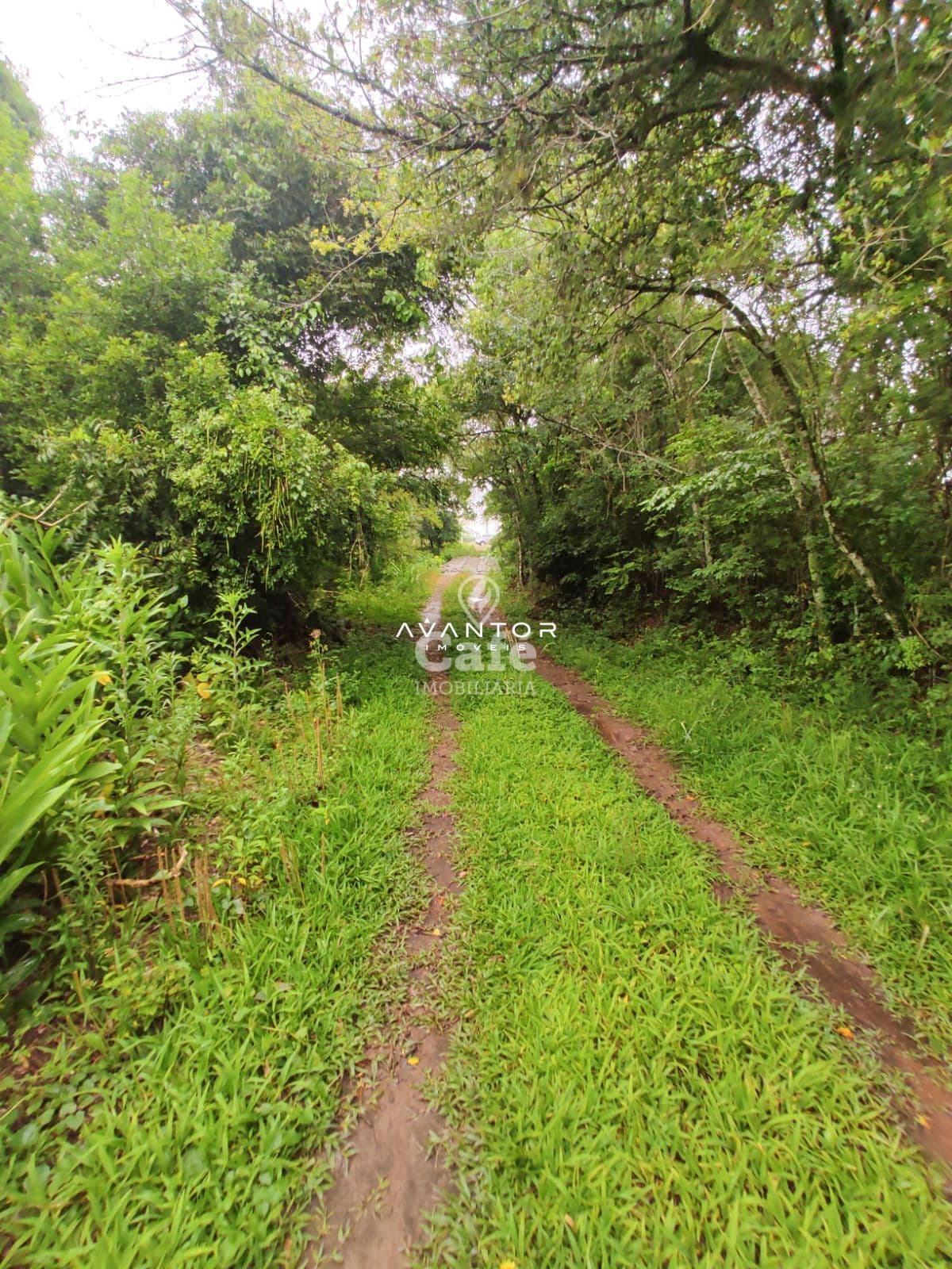 Terreno com 2.534 m² distrito de palma Estrada do Radar — Terreno à venda em Zona rural, Santa Maria/RS