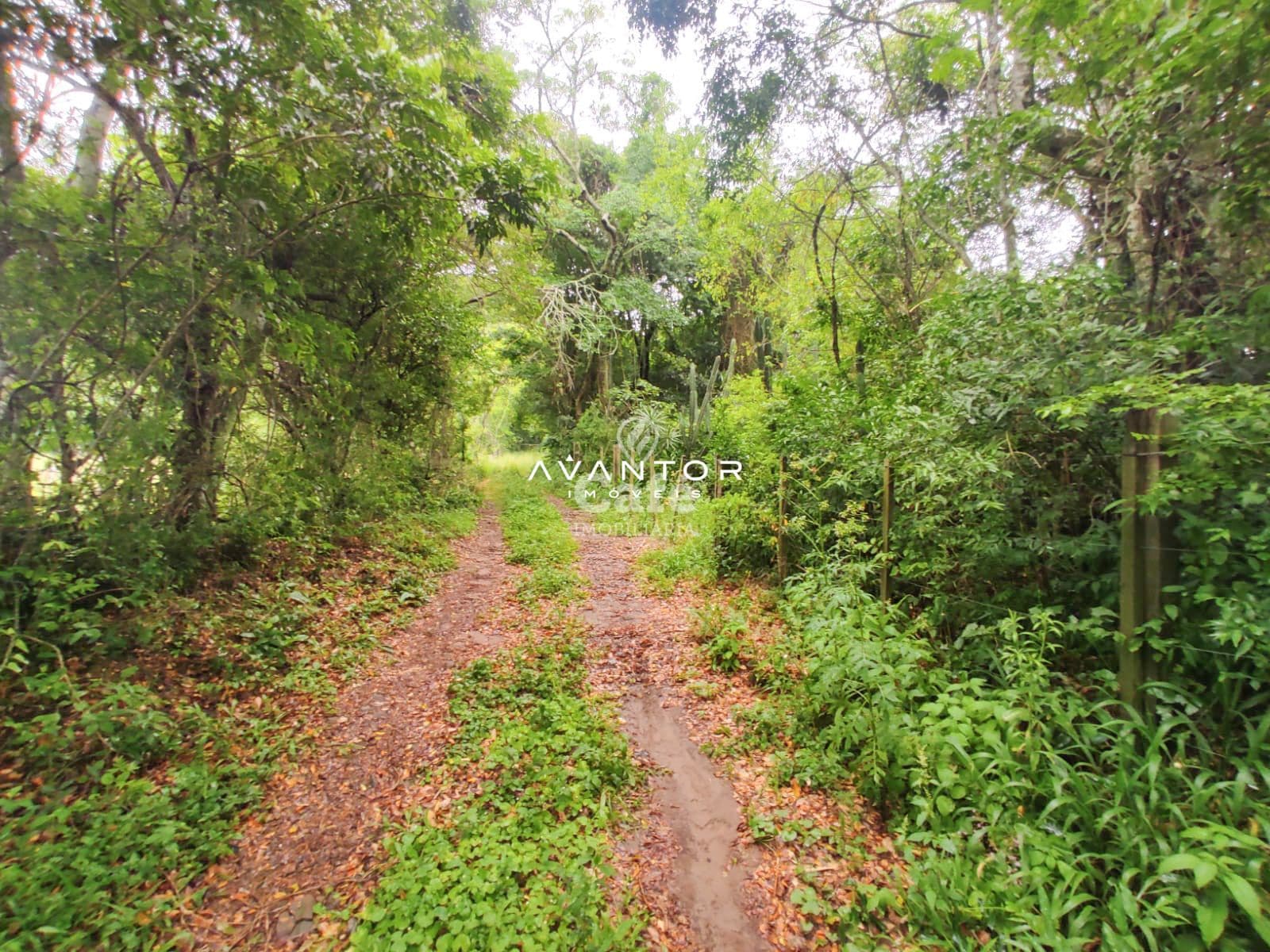 Terreno com 2.534 m² distrito de palma Estrada do Radar — Terreno à venda em Zona rural, Santa Maria/RS