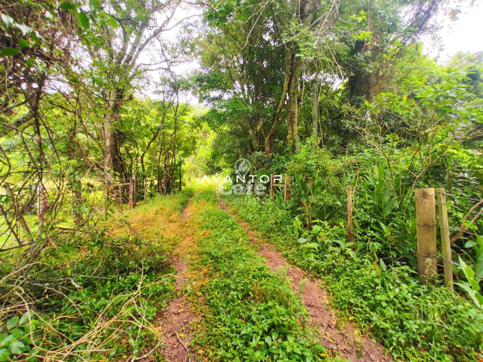 Terreno com 2.534 m² distrito de palma Estrada do Radar — Terreno à venda em Zona rural, Santa Maria/RS