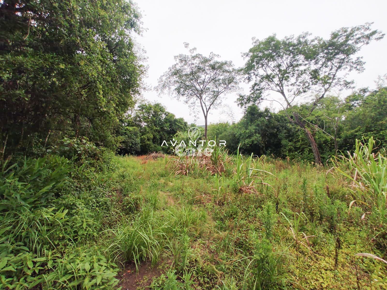 Terreno com 2.534 m² distrito de palma Estrada do Radar — Terreno à venda em Zona rural, Santa Maria/RS