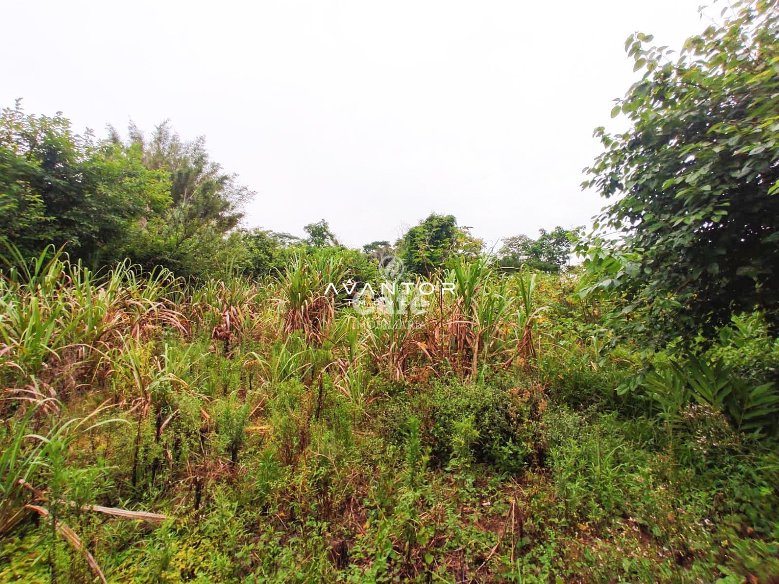 Terreno com 2.534 m² distrito de palma Estrada do Radar — Terreno à venda em Zona rural, Santa Maria/RS