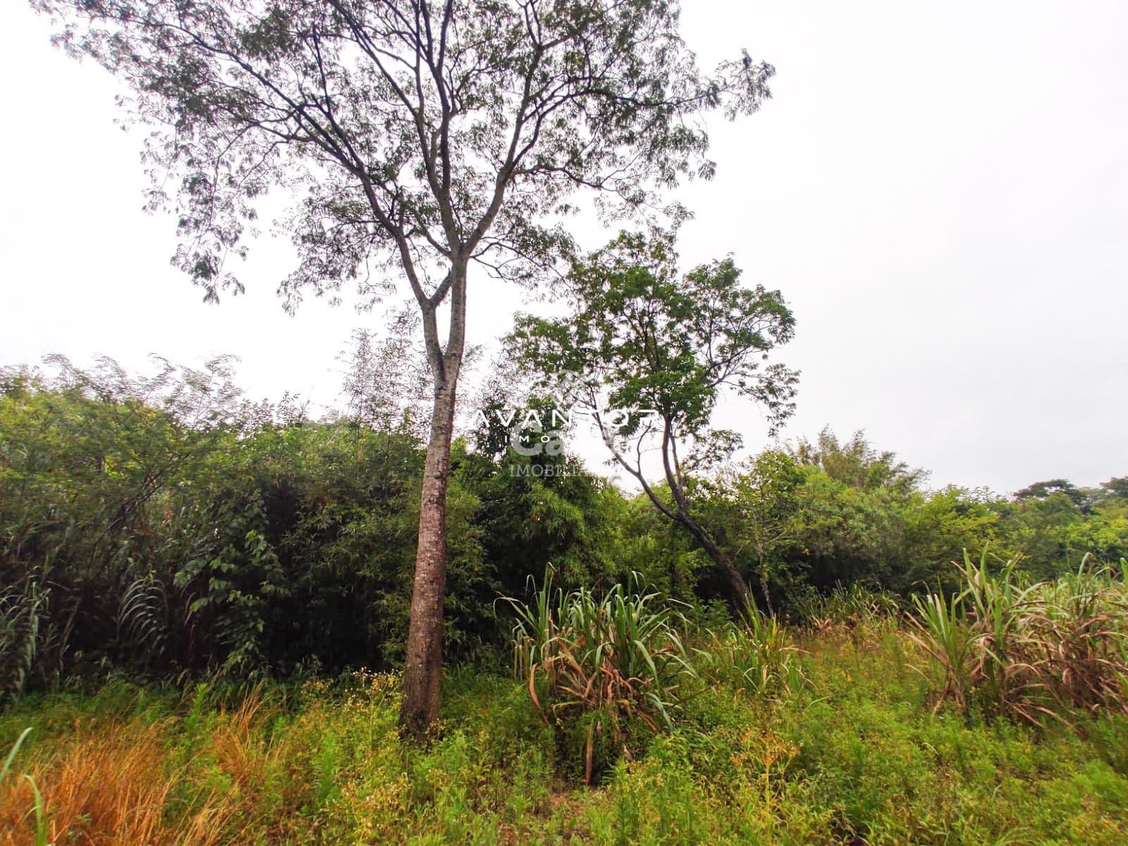 Terreno com 2.534 m² distrito de palma Estrada do Radar — Terreno à venda em Zona rural, Santa Maria/RS