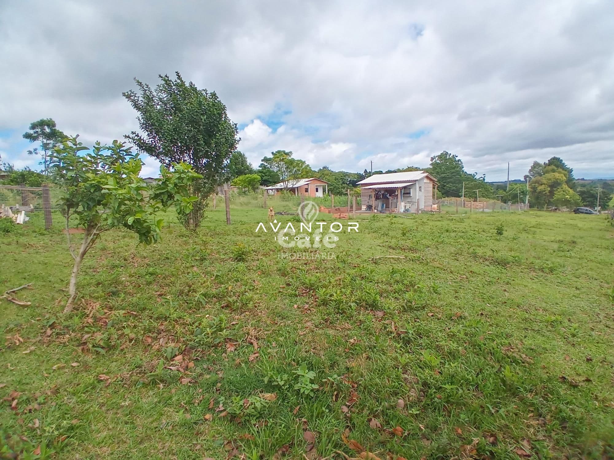 Terreno à venda em Passo das Tropas, Santa Maria/RS — foto 4 de 6