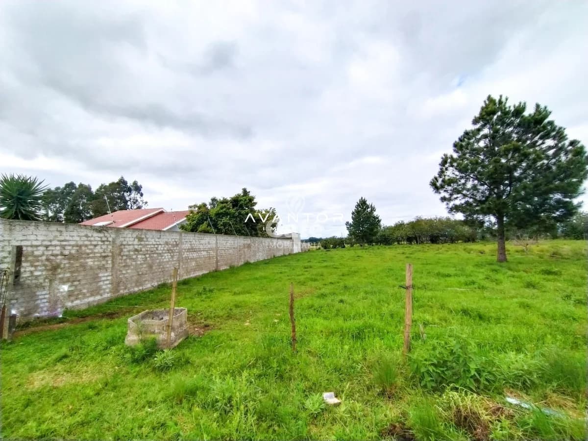 Terreno com muro de alvenaria e árvores — Terreno à venda em São José, Santa Maria/RS
