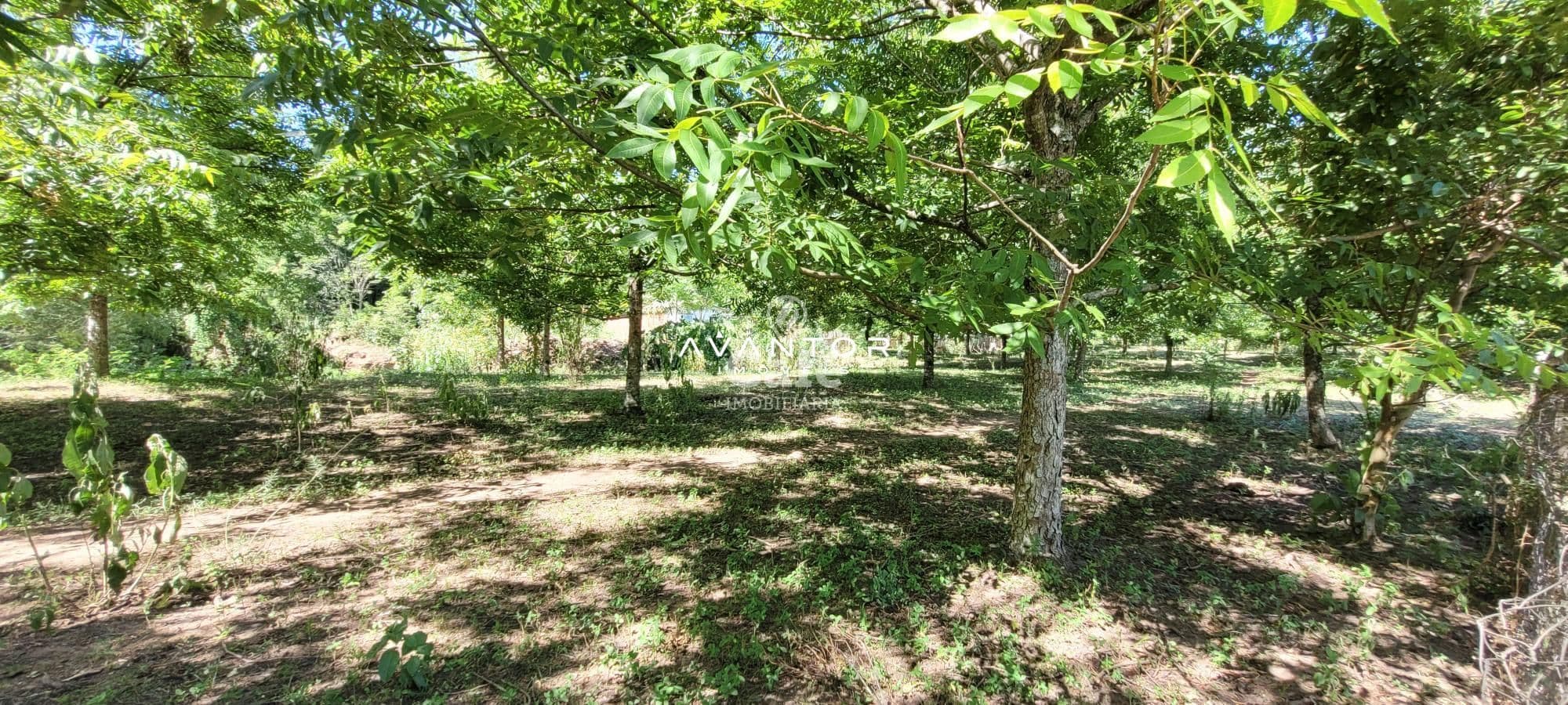 Terreno à venda em Km 3, Santa Maria/RS — foto 5 de 11