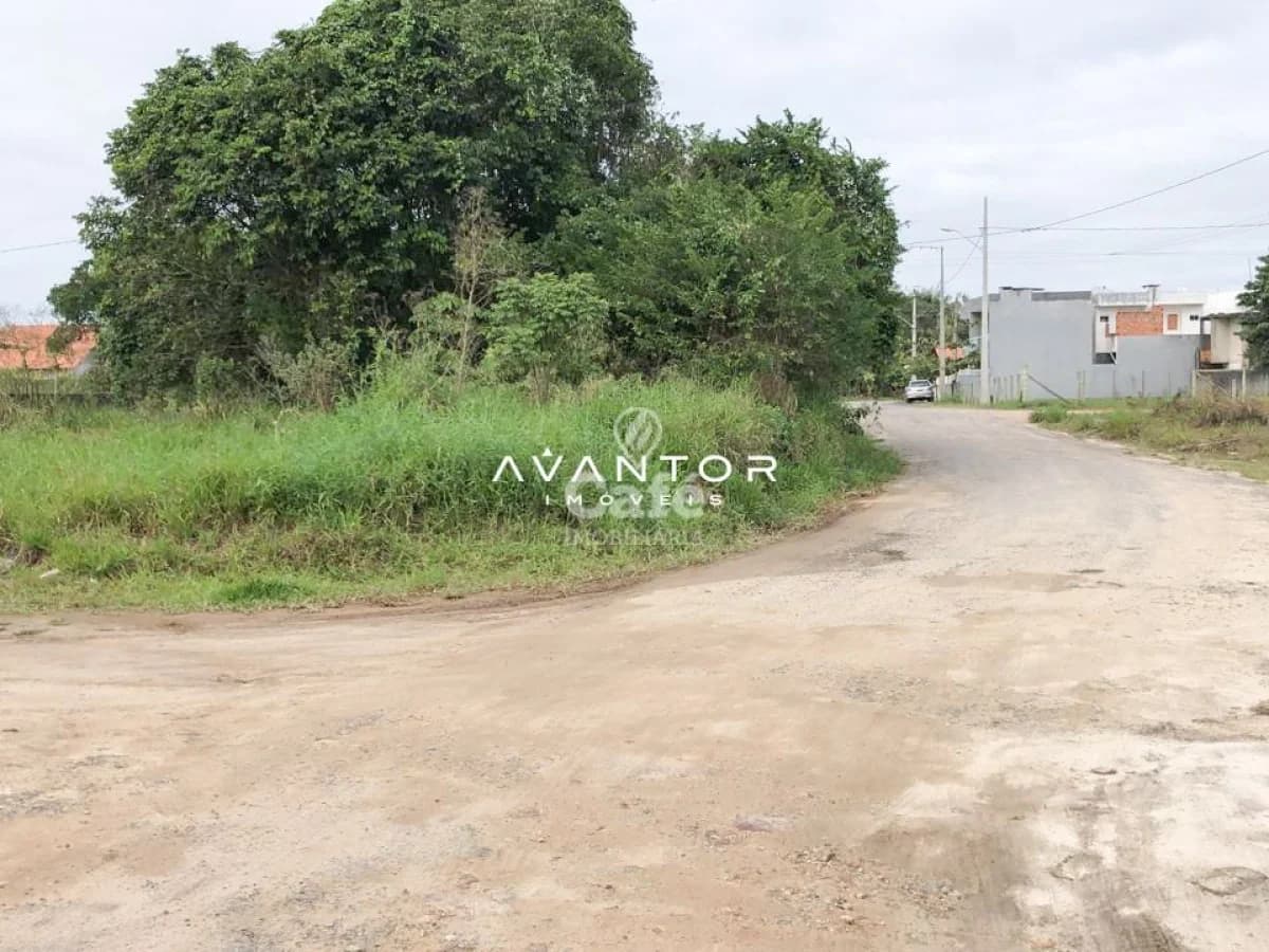 Terreno com vegetação e acesso de terra — Terreno à venda em Santo Antônio, Balneário Piçarras/SC