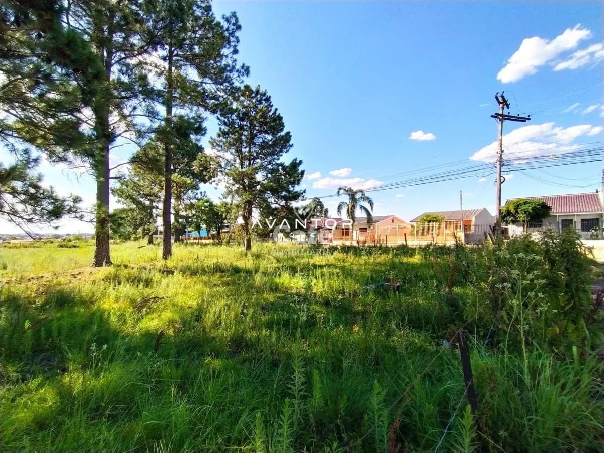 Terreno com árvores e construções ao fundo — Terreno à venda em Pinheiro Machado, Santa Maria/RS