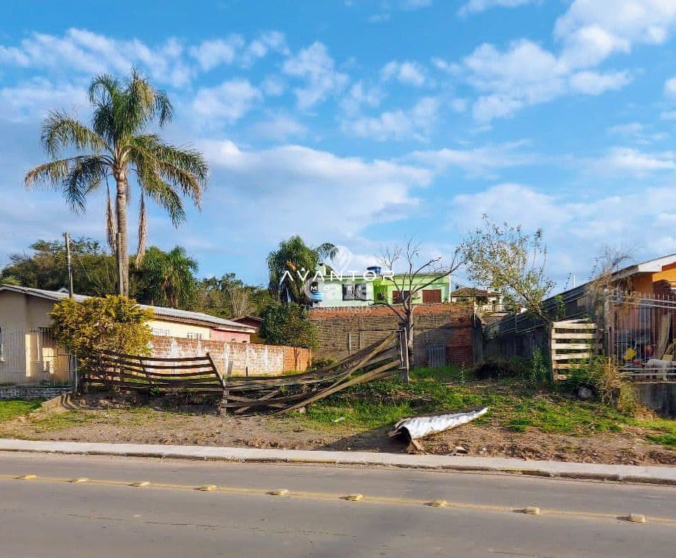 Terreno com construções e palmeiras — Terreno à venda em Nossa Senhora das Dores, Santa Maria/RS